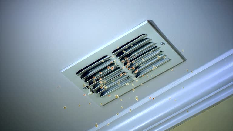 Best Affordable Duct Cleaning Services  in New Rockford, ND
